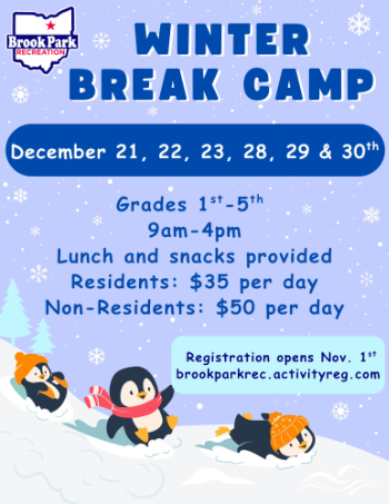 Winter Break Camp